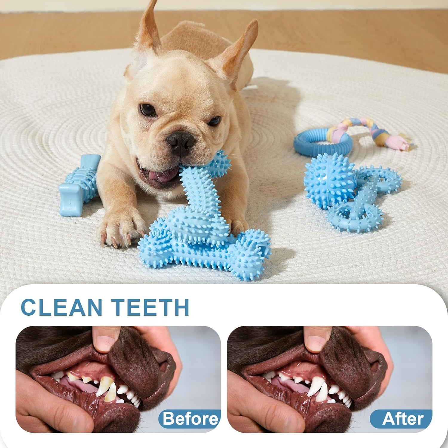 6 Pack Dog Chew Toys for Puppy Cute Blue Small Dog Toys Puppy Dog Toys for Teething Soft Durable Interactive Chew Toy for Small Dogs Light Blue - Happypetzone.online - Image 5