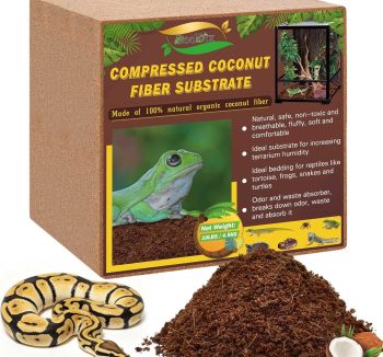 reptile habitat accessories