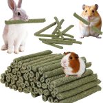 rabbit chew toys