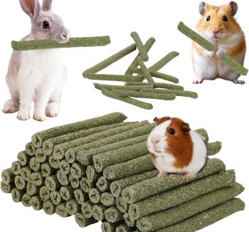 rabbit chew toys