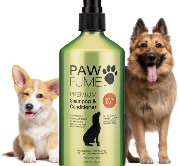 best dog shampoo