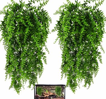 reptile tank decorations