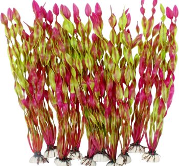 fish tank decorations plants