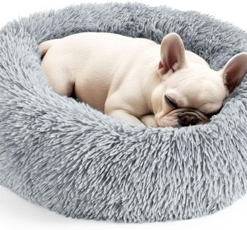 cat bed fluffy