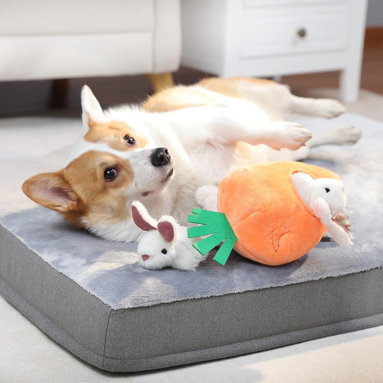 Amazon Basics Interactive Hide and Seek Squeaky Dog Plush Toy with Squeaker for Small Dogs, Rabbit and Carrot, Orange and White, 5-Pack - Happypetzone.online - Image 9