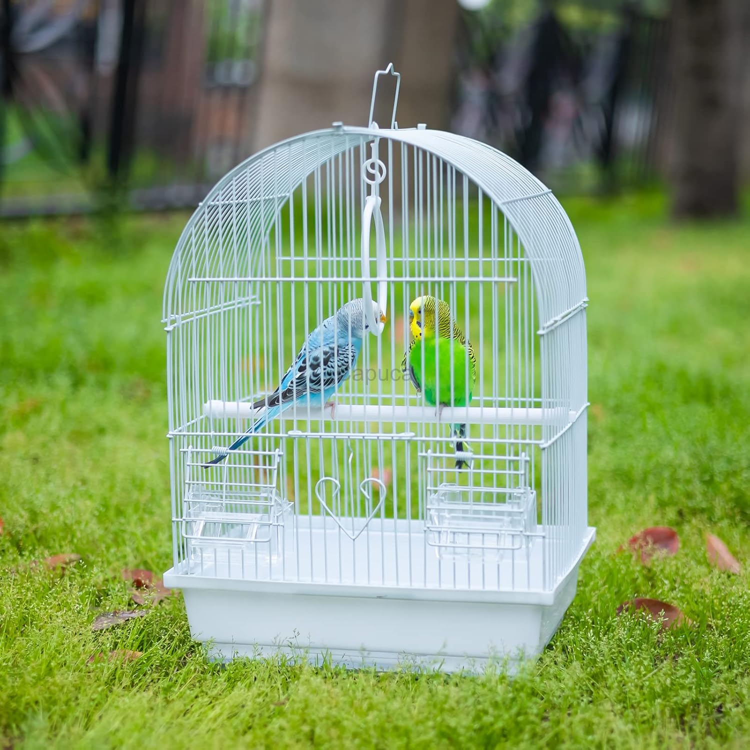 Small Bird Travel Cage - Lightweight Small Birds Starter Kit with Birdcages and Accessories Great for Parakeets Lovebirds Parrotlets Finches Canaries - Happypetzone.online - Image 3