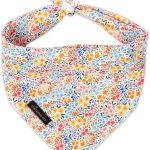 dog bandana stylish