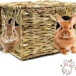 rabbit playpen accessories