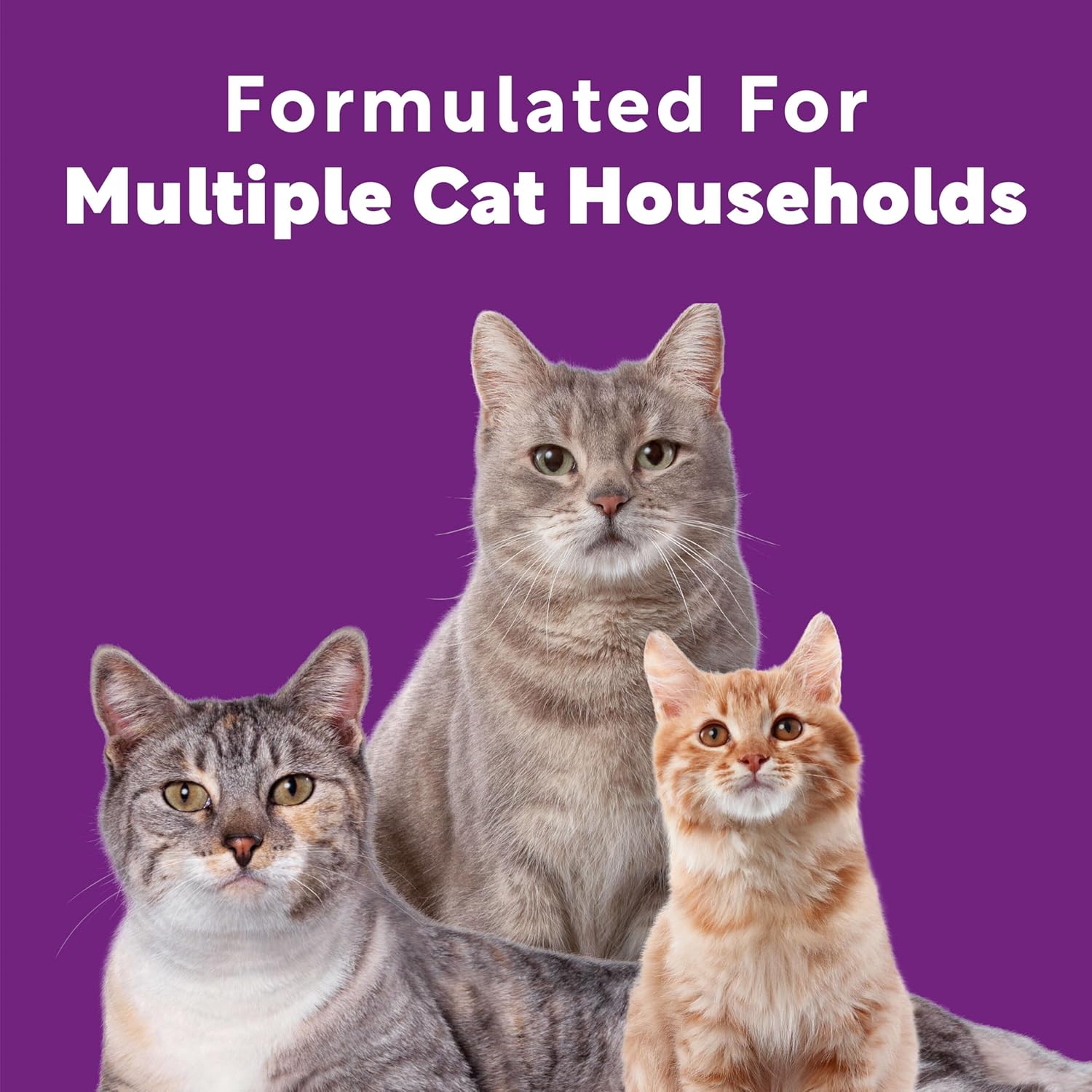 Scoop Away Advanced Multi-Cat Clumping Cat Litter, Meadow Fresh Scent, Pack of 2, 18.5 Pounds (Package May Vary) - Happypetzone.online - Image 4