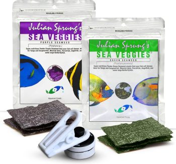 fish food for saltwater fish