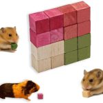 hamster treats healthy