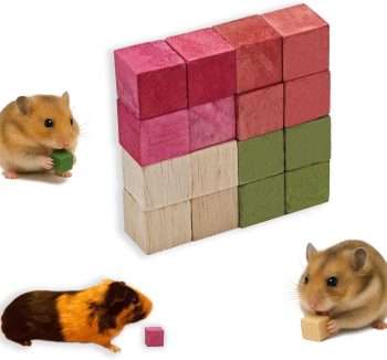 hamster treats healthy