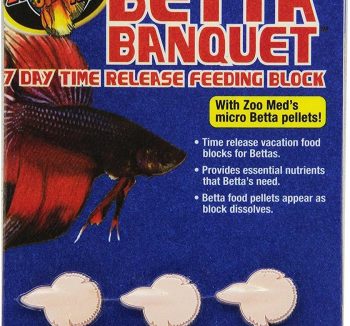 fish food for small fish
