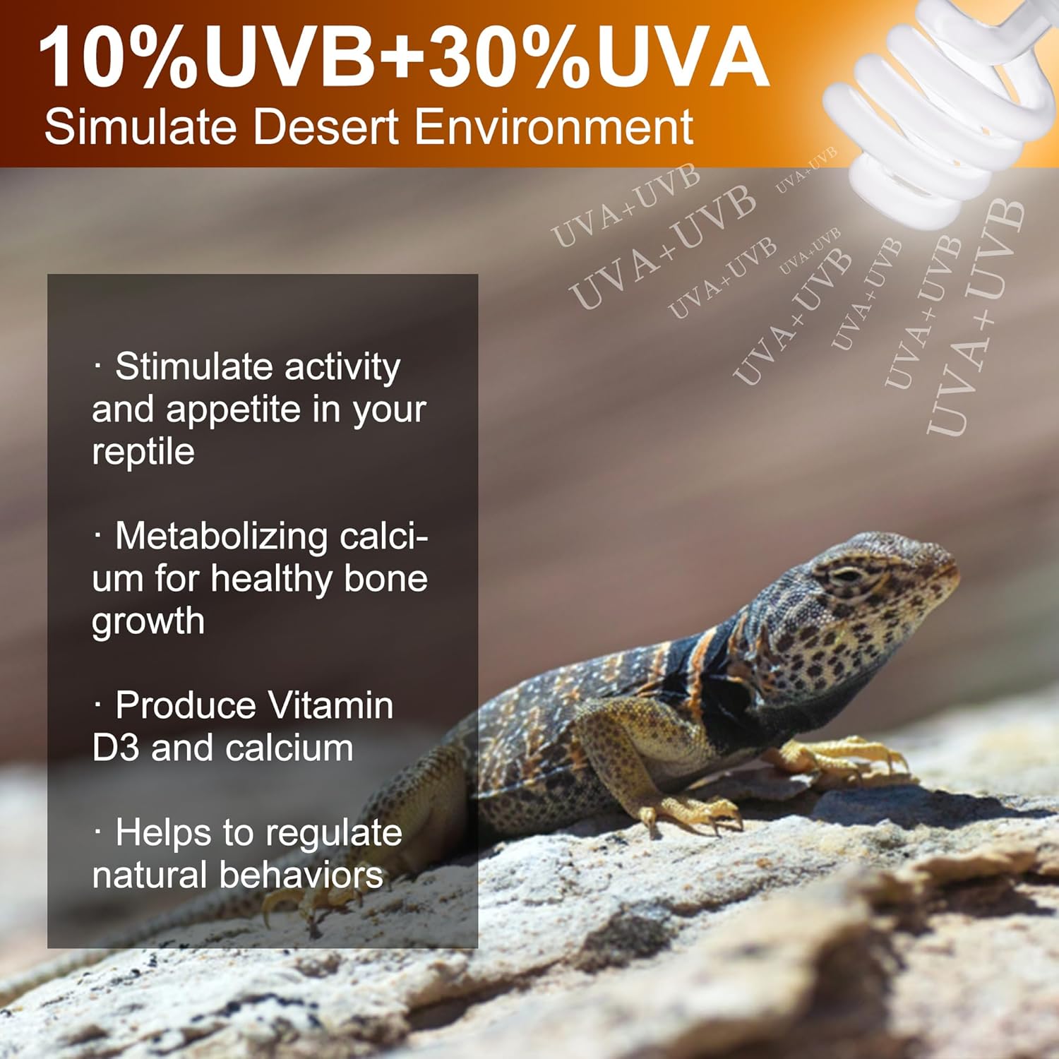 UVB Reptile Light Bulb 10.0, 23W UV Spiral Compact Florescent Terrarium Lamp Ideal for Desert Reptiles Bearded Dragons Lizard Tortoise Iguanas Chameleons Snake - 2 Pack - Happypetzone.online - Image 3