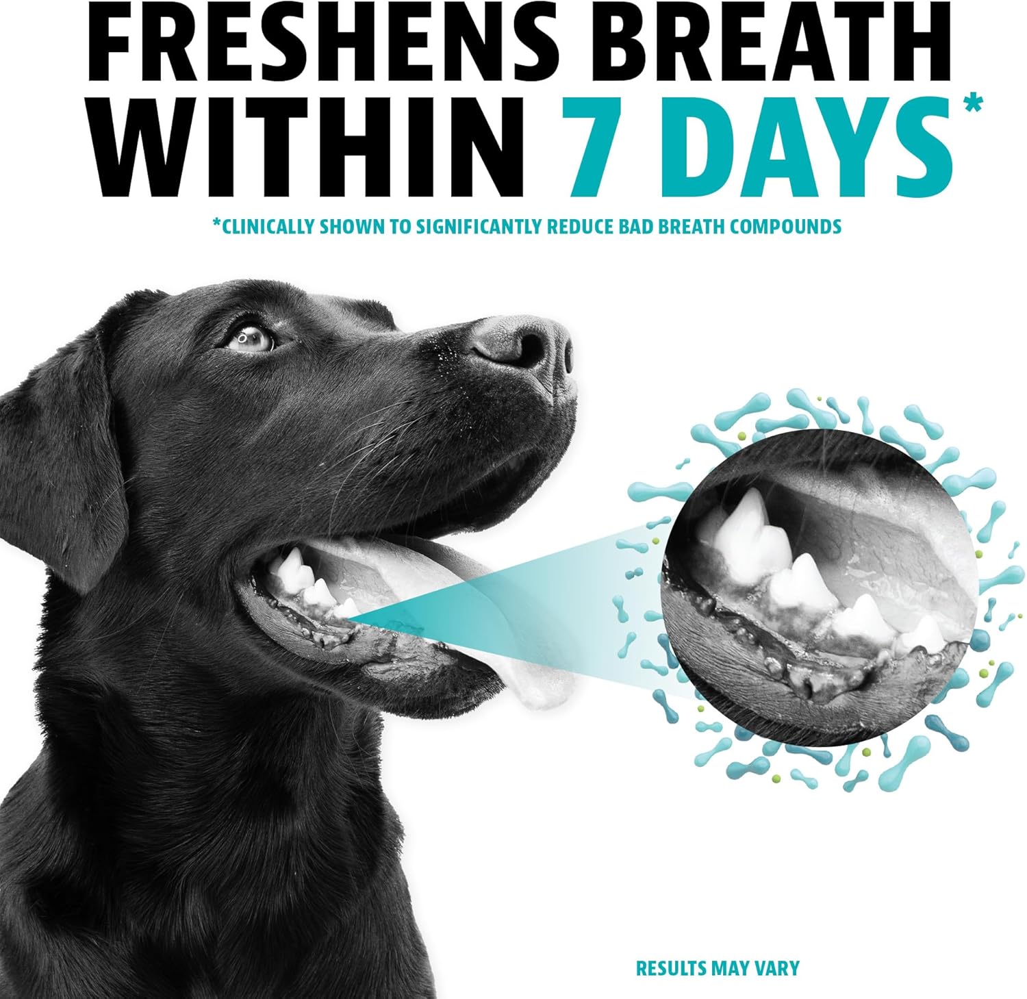 Dinovite Dog Dental Powder, Brush-Free Breath Freshener & Teeth Cleaning Dental Care Powder with Probiotics & Postbiotics, Oral Care Bad Breath Treatment, Large Dogs, Made in USA, 30 Day Supply - Happypetzone.online - Image 3