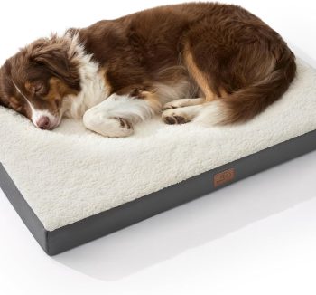 best dog beds