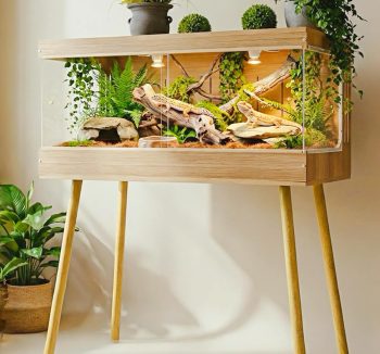 snake tank enclosure