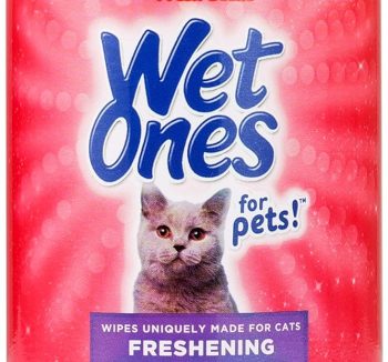 cat hygiene products