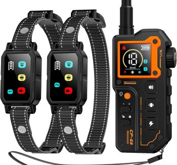 shock collar dog safe