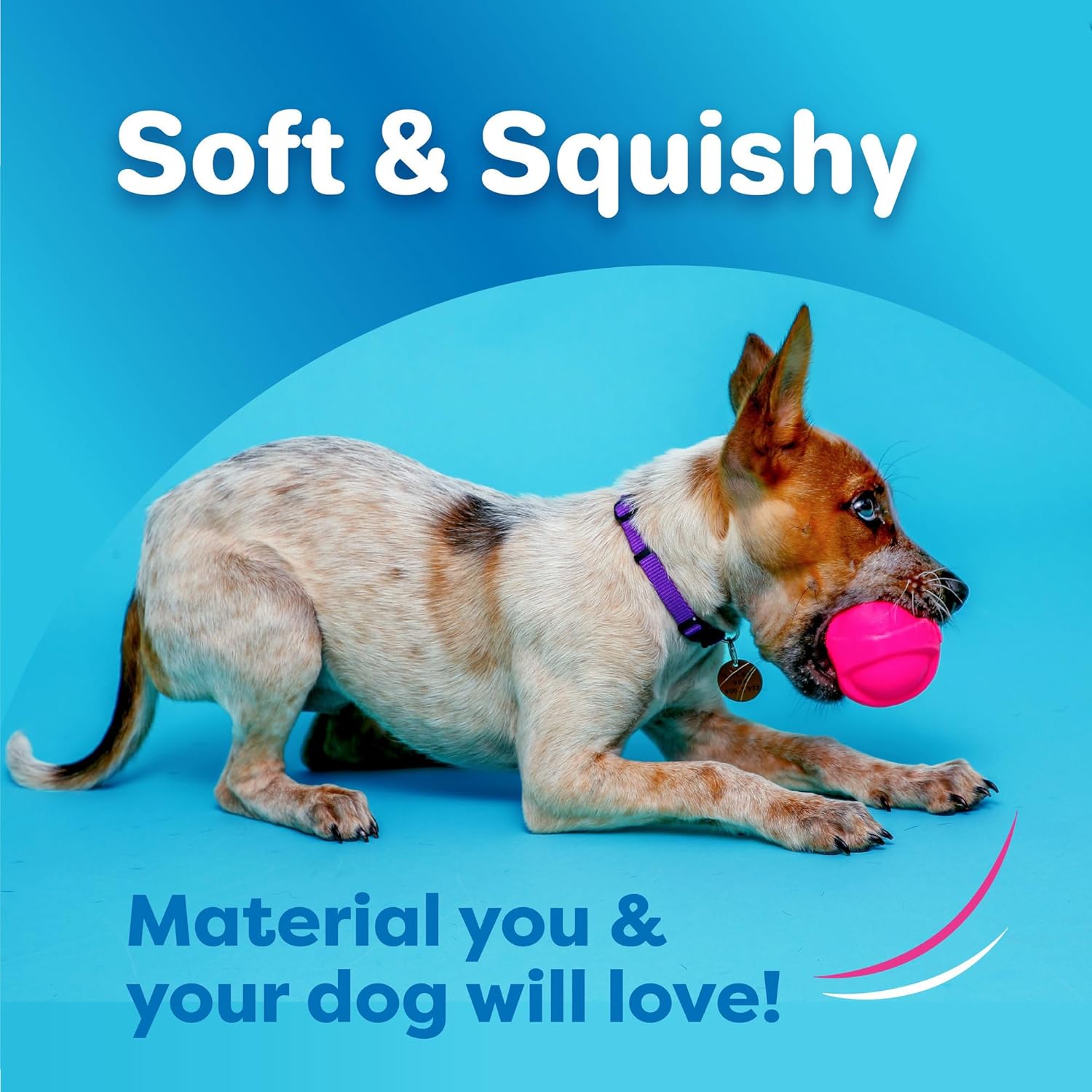 Hartz DuraPlay Bacon Scented Dog Toys, Small (Assorted Color) - Happypetzone.online - Image 2