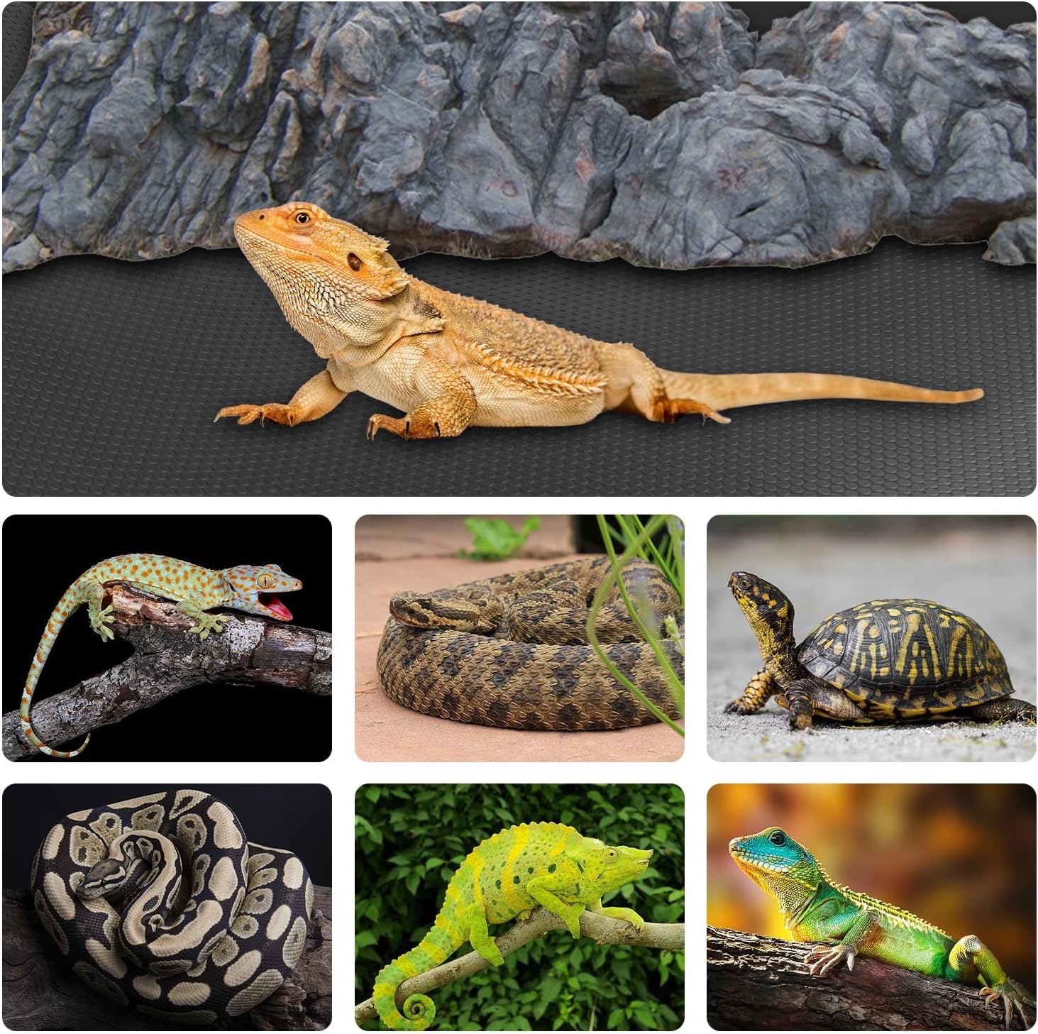 120 Gallon Reptile Terrarium Mat Liner, 96" X 24" Bearded Dragon Tank Accessories, Bearded Dragon Substrate flooring for 4x2x2 Reptile Enclosure, Reptile Bedding Carpet for Gecko,Lizard, Black - Happypetzone.online - Image 2