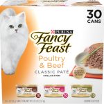 best cat food
