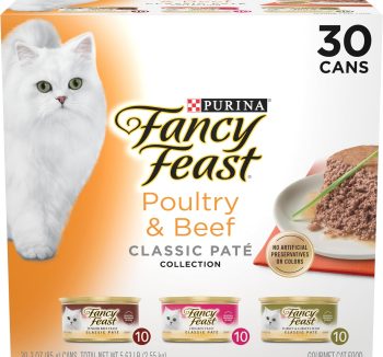 best cat food