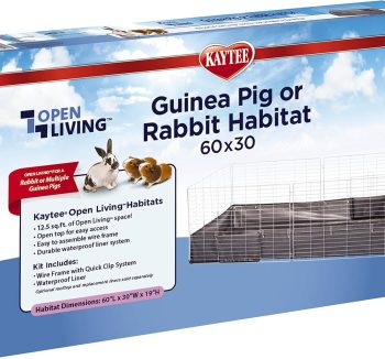 guinea pig habitat durable