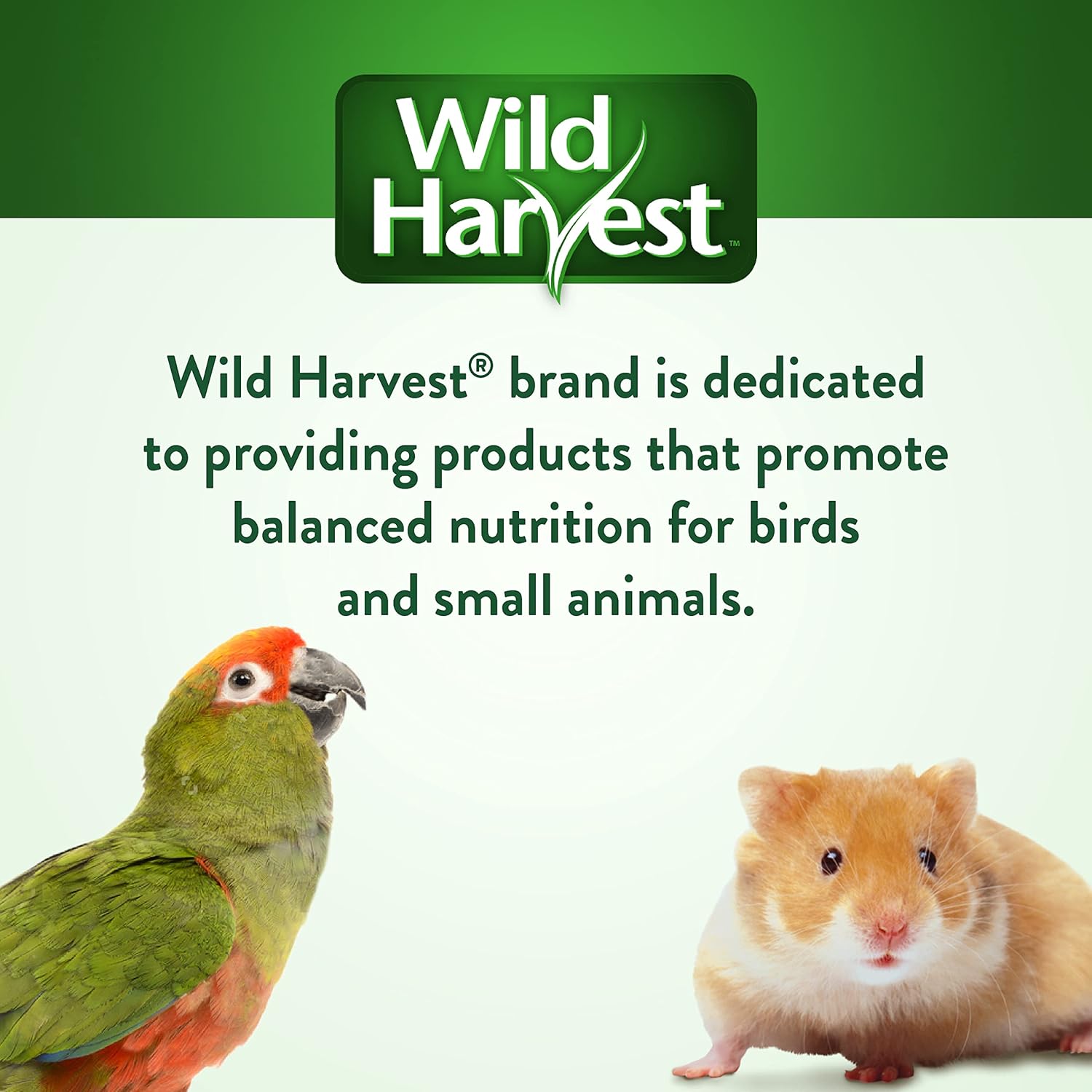 Wild Harvest Healthy Benefits Molting Supplement, 7.5 Oz., for All Birds - Happypetzone.online - Image 7