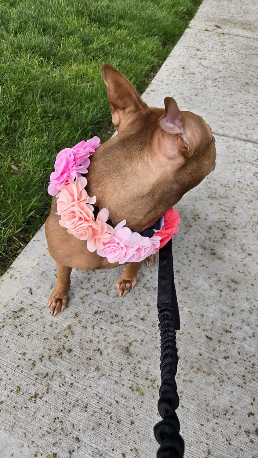4 or 6 or 20PCS Dog Collar Large Flowers Pet Collar Charms Attachment for Small Medium Big Girl Female Cat Puppy Alpaca Rabbit Neck Bows Sliders Grooming Accessories - Happypetzone.online - Image 9