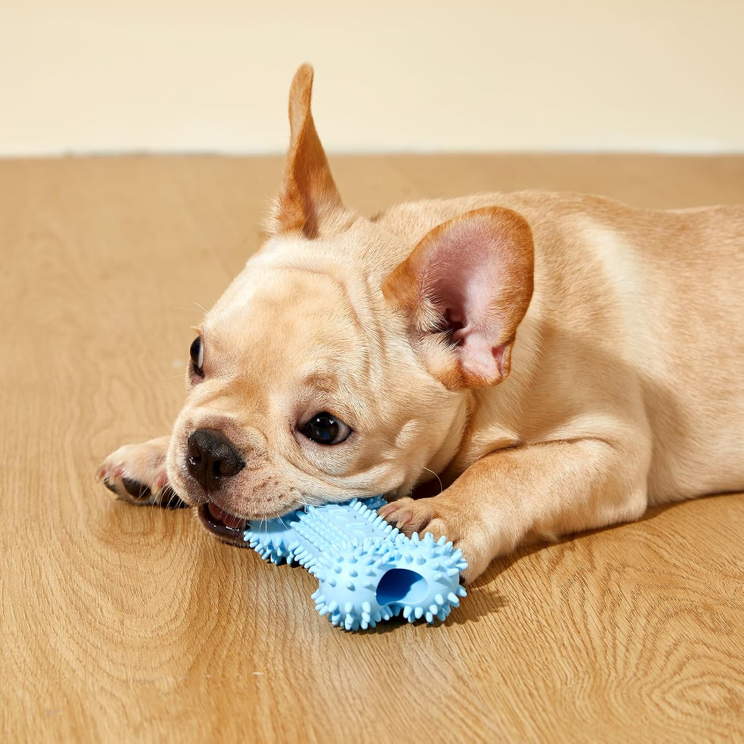 6 Pack Dog Chew Toys for Puppy Cute Blue Small Dog Toys Puppy Dog Toys for Teething Soft Durable Interactive Chew Toy for Small Dogs Light Blue - Happypetzone.online - Image 6