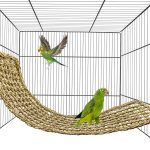 bird toys wooden