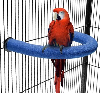 bird perch for parrots