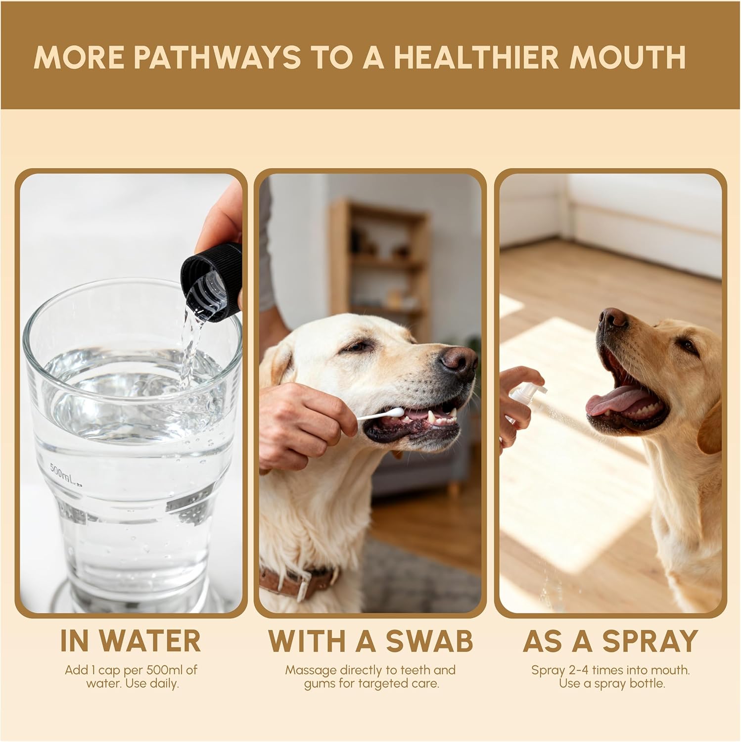 Advanced Probiotic Pet Dental Water Additive, Bio-Active Formula to Fight Oral Bacteria at The Source, Freshens Breath, Reduces Plaque & Tartar, Just Add to Water, Vet Recommended, 9.8 oz - Happypetzone.online - Image 6