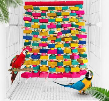 bird chewing toys