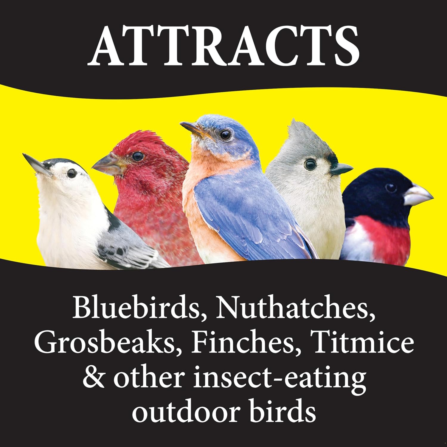 Wild Delight Advanced Formula Bugs N Berries Wild Bird Food 4.5 lbs - Happypetzone.online - Image 6