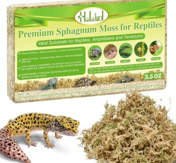 reptile substrate for humidity
