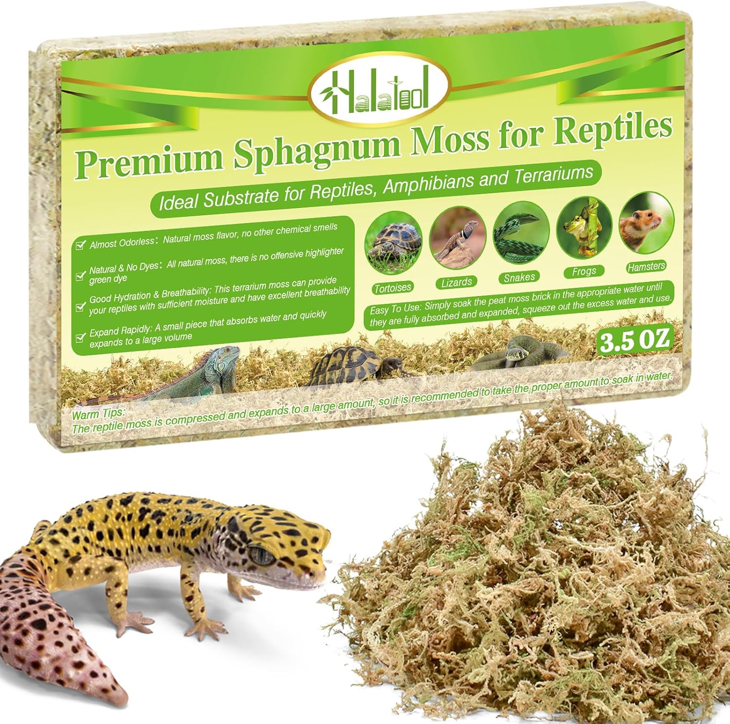 reptile substrate for humidity