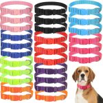 cheap dog collars bulk
