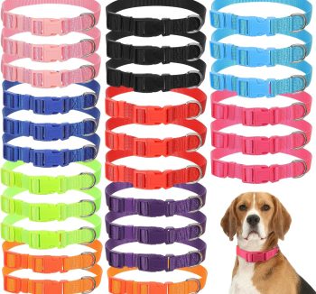 cheap dog collars bulk