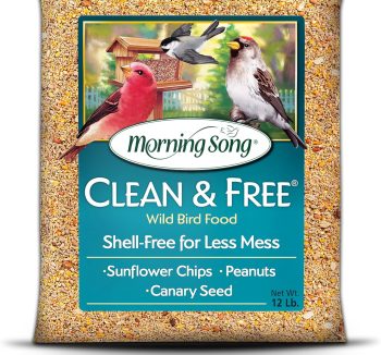 best bird food