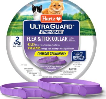 cat tick prevention