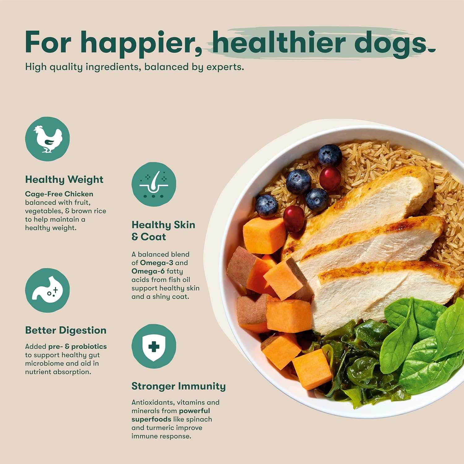 Jinx Premium Dry Dog Food, Puppy - Real Chicken, Brown Rice & Sweet Potato Kibble for Puppies with DHA, Protein & Calcium for Brain Health - Probiotics for Digestive Support - No Fillers - 4lb - Happypetzone.online - Image 3
