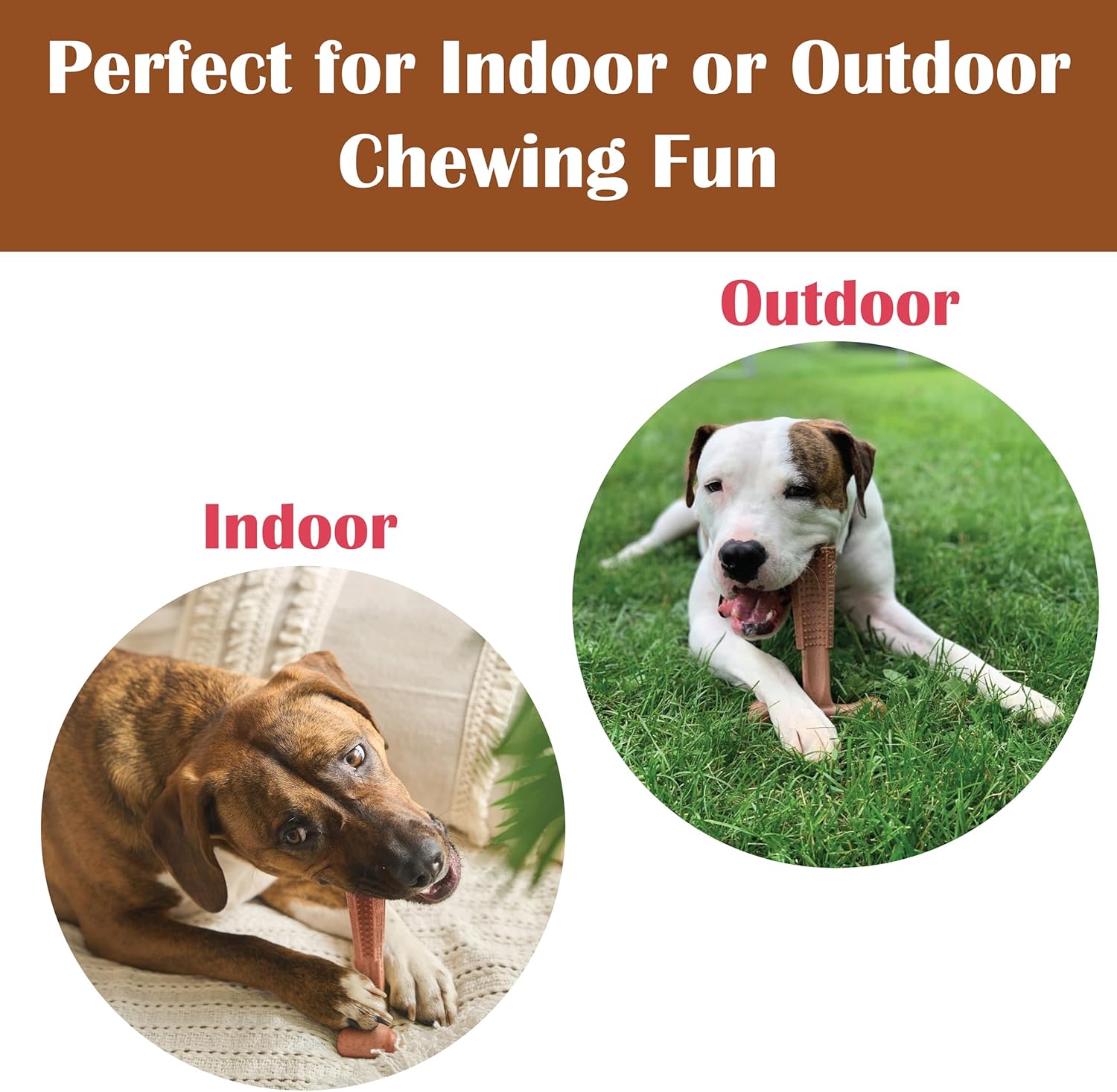 SPOT Bam-Bones Plus T Bone – Bamboo Fiber & Nylon Dog Chew Toy for Moderate to Aggressive Chewers, Durable Long Lasting & Non-Splintering, Beef Flavor Toy for Adult Dogs & Puppies Under 60 lbs, 6 in - Happypetzone.online - Image 8