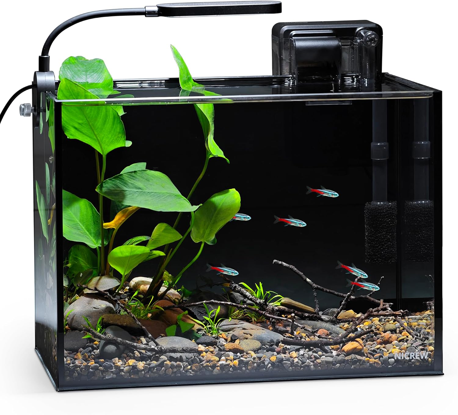 fish tank aquarium