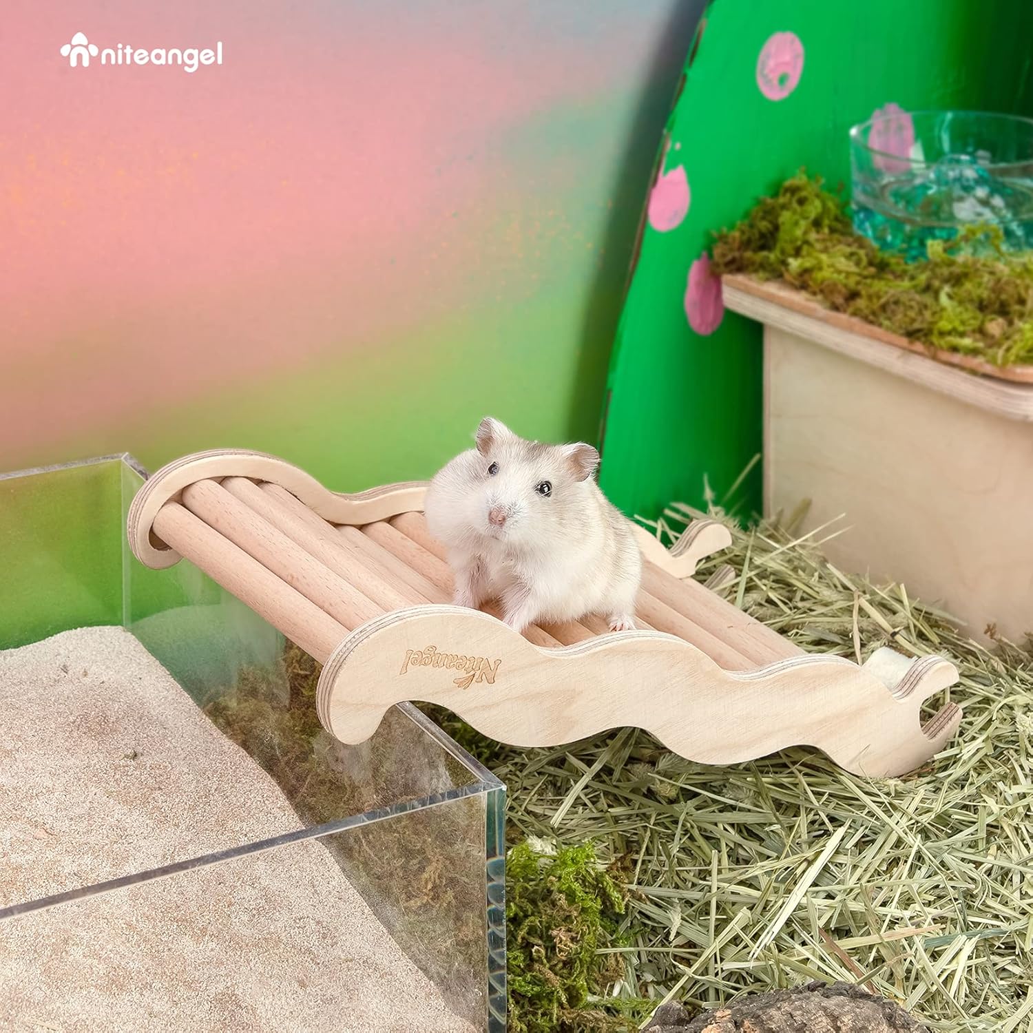 Niteangel Hamster Climbing Toy Wooden Ladder Bridge for Hamsters Gerbils Mice and Small Animals (Medium - 8.26'' L) - Happypetzone.online - Image 3