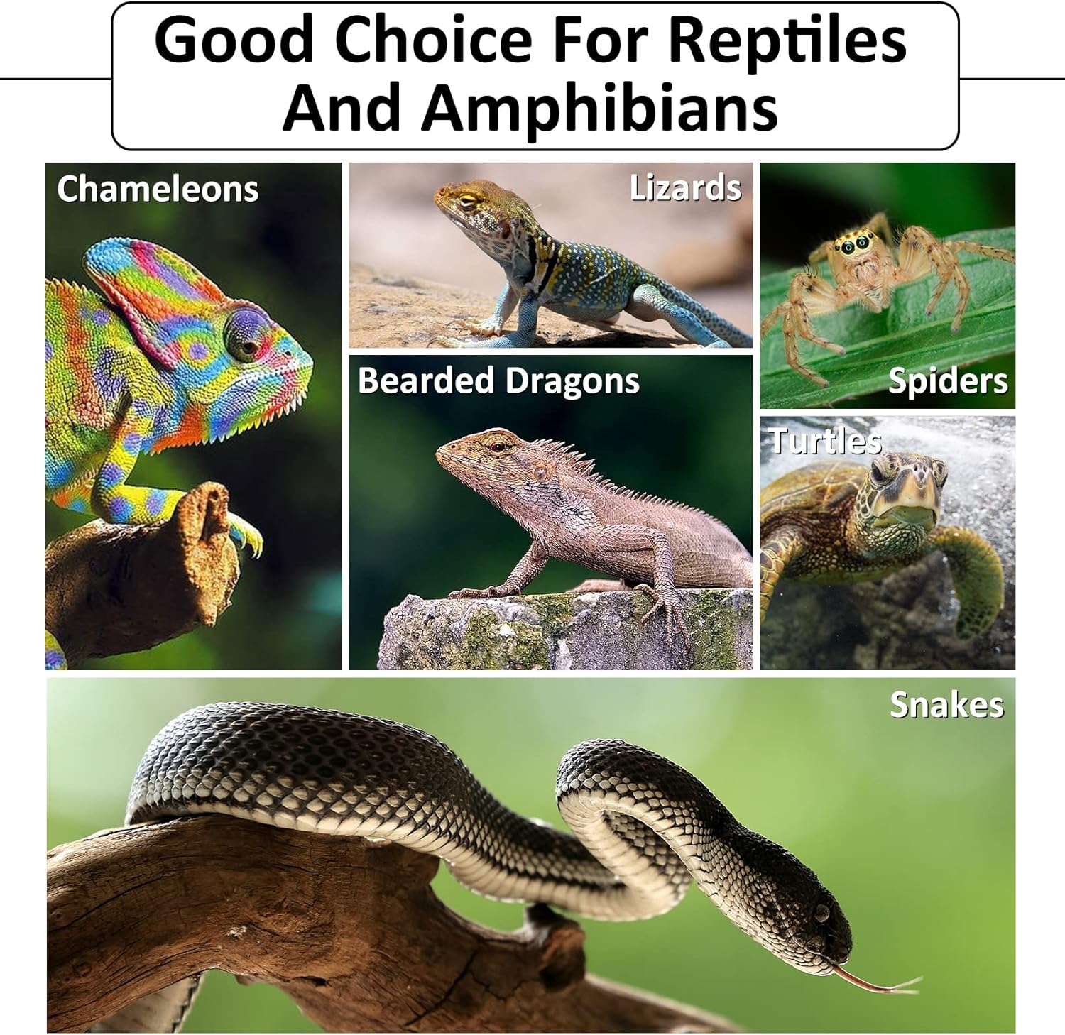 Hamiledyi Reptile Bark Bedding Tortoise Habitat Substrate Natural Terrarium Bark Wood Chips Tank Supplies for Snake Spiders Bearded Dragons Hermit Crabs Geckos - Happypetzone.online - Image 7