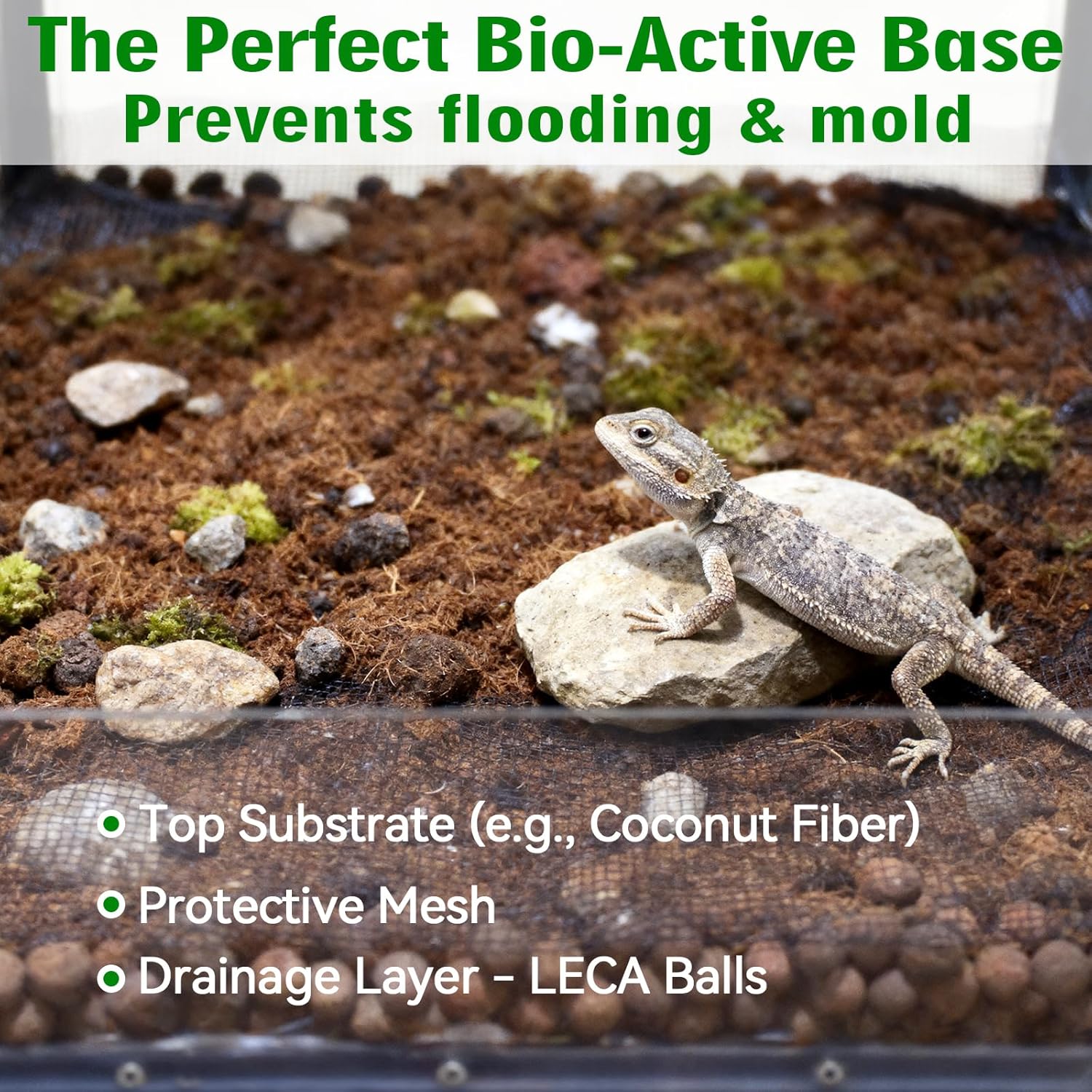 Halatool Reptile Substrate 2QT Clay Pebbles Terrarium Bedding for Reptiles Organic Clay Balls Bioactive Drainage Layer for Terrariums & Vivariums Leopard Gecko Tortoise Frog Lizard Ball Python - Happypetzone.online - Image 4