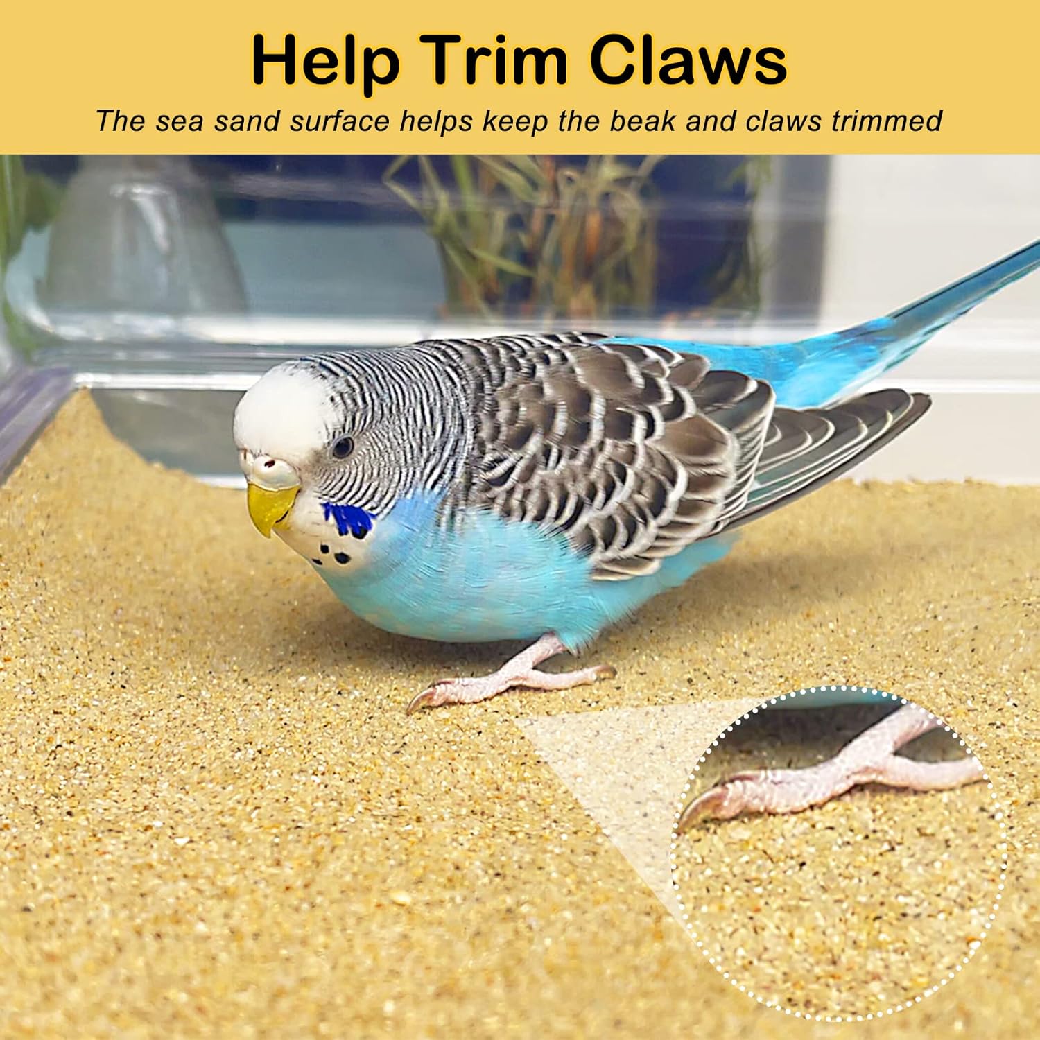 S&X Bird Cage Liner 30-Pack 15” x 11” Gravel Paper for Bird Cage | Sand Sheets for Easier Cleaning and Bird Health - Happypetzone.online - Image 3