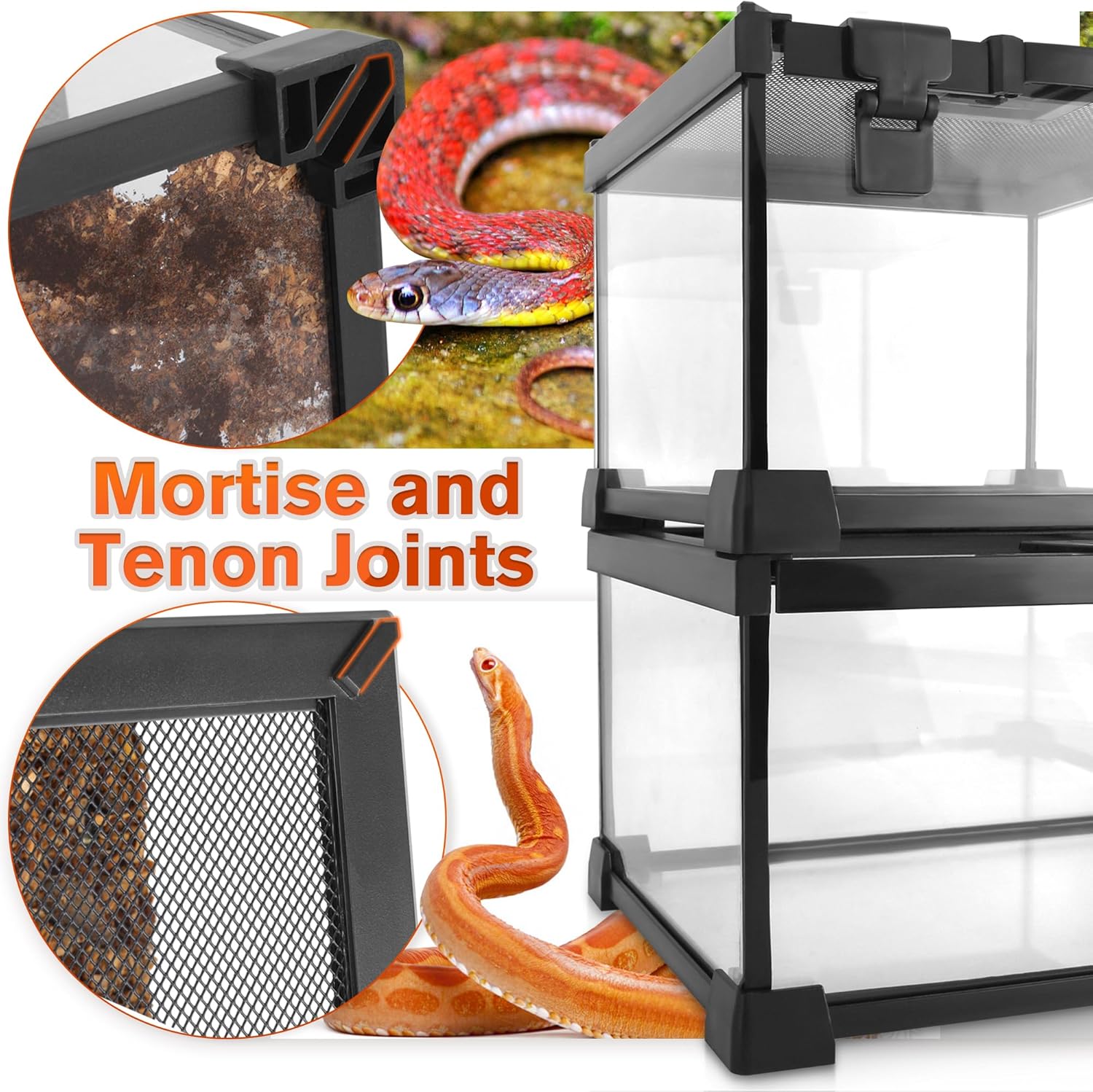 Mini Reptile Glass Terrarium Vivarium 12'' x 8'' x 6'' Full View Tank Small Amphibians Glass Habitat Cage with Feeding Slot & Box Lock Buckle - Happypetzone.online - Image 5